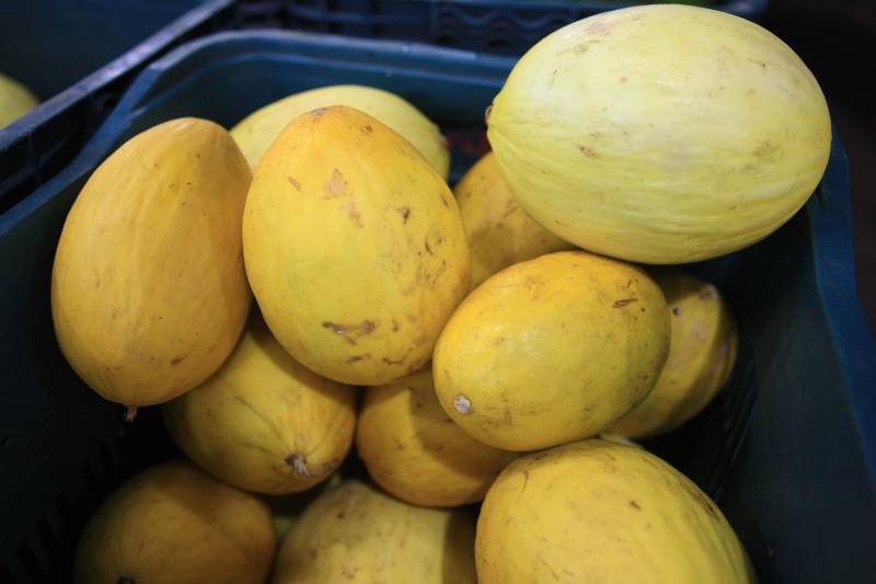 Com a chegada do verão, é importante reforçar o consumo de frutas para a absorção de nutrientes importantes e também para o combate à desidratação. Como toda a estação, existem as frutas da época, que, por conta da oferta, costumam ficar mais baratas. Uma das opções para a compra de frutas da estação é a Central de Abastecimento do Pará (Ceasa).
FOTO: RODOLFO OLIVEIRA / AG. PARÁ
DATA: 09.07.2018
BELÉM - PARÁ <div class='credito_fotos'>Foto: Rodolfo Oliveira/Ag. Pará | <a href='/midias/2018/originais/e595a149-5b3c-4e7c-98be-183a3da630be.jpg' download><i class='fa-solid fa-download'></i> Download</a></div>