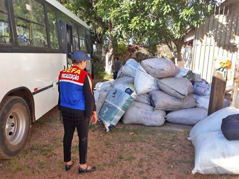 Equipes de fiscalização da Secretaria de Estado da Fazenda (Sefa) apreenderam na quarta-feira (09) uma carga com 12.111 peças de vestuário (foto). A apreensão foi feita por servidores da Unidade de Controle de Mercadorias em Trânsito Carajás, localizada no KM-09 da Rodovia BR-230 (Transamazônica), em Marabá, no sudeste do Pará. A mercadoria estava sendo conduzida em ônibus de turismo, cujo motorista não obedeceu ao aviso de parada obrigatória na unidade fazendária, e foi perseguido e reconduzido ao posto fiscal. Durante a conferência da carga, os fiscais verificaram que não havia documentos fiscais e nem pagamento do ICMS (imposto sobre mercadorias e serviços). A fiscalização começou pela manhã e a conferência das mercadorias e dos procedimentos fiscais só foi concluída na madrugada desta quinta-feira (10). “Estamos intensificando as fiscalizações em veículos de turismo nos últimos meses, com vistas a coibir a entrada ilegal de confecções sem recolhimento de imposto”, informou o coordenador da unidade, auditor fiscal de receitas estaduais George Tavares.
FOTO: ASCOM / SEFA
DATA: 10.05.2018
BELÉM - PARÁ <div class='credito_fotos'>Foto: Ascom Sefa | <a href='/midias/2018/originais/e7a96cd3-608b-4e12-8f58-9bd9ab37b38a.jpg' download><i class='fa-solid fa-download'></i> Download</a></div>