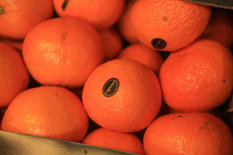 Com a chegada do verão, é importante reforçar o consumo de frutas para a absorção de nutrientes importantes e também para o combate à desidratação. Como toda a estação, existem as frutas da época, que, por conta da oferta, costumam ficar mais baratas. Uma das opções para a compra de frutas da estação é a Central de Abastecimento do Pará (Ceasa).
FOTO: RODOLFO OLIVEIRA / AG. PARÁ
DATA: 09.07.2018
BELÉM - PARÁ <div class='credito_fotos'>Foto: Rodolfo Oliveira/Ag. Pará | <a href='/midias/2018/originais/e8193551-2c60-4b89-a2a7-4a81744cd75e.jpg' download><i class='fa-solid fa-download'></i> Download</a></div>