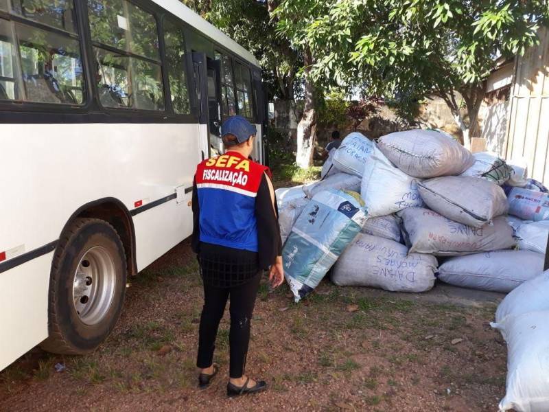 Equipes de fiscalização da Secretaria de Estado da Fazenda (Sefa) apreenderam na quarta-feira (09) uma carga com 12.111 peças de vestuário (foto). A apreensão foi feita por servidores da Unidade de Controle de Mercadorias em Trânsito Carajás, localizada no KM-09 da Rodovia BR-230 (Transamazônica), em Marabá, no sudeste do Pará. A mercadoria estava sendo conduzida em ônibus de turismo, cujo motorista não obedeceu ao aviso de parada obrigatória na unidade fazendária, e foi perseguido e reconduzido ao posto fiscal. Durante a conferência da carga, os fiscais verificaram que não havia documentos fiscais e nem pagamento do ICMS (imposto sobre mercadorias e serviços). A fiscalização começou pela manhã e a conferência das mercadorias e dos procedimentos fiscais só foi concluída na madrugada desta quinta-feira (10). “Estamos intensificando as fiscalizações em veículos de turismo nos últimos meses, com vistas a coibir a entrada ilegal de confecções sem recolhimento de imposto”, informou o coordenador da unidade, auditor fiscal de receitas estaduais George Tavares.
FOTO: ASCOM / SEFA
DATA: 10.05.2018
BELÉM - PARÁ <div class='credito_fotos'>Foto: Ascom Sefa | <a href='/midias/2018/originais/ea7b4862-fde0-4ed9-bf6d-fdfb2c847fd2.jpg' download><i class='fa-solid fa-download'></i> Download</a></div>