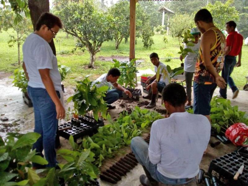 Agricultores familiares atendidos pelo projeto AgroVárzea participaram, na segunda-feira, 14, de um Dia de Campo para a manutenção do viveiro de mudas implantado (foto) pelo Instituto de Desenvolvimento Florestal e da Biodiversidade (Ideflor-bio). O viveiro fica na comunidade quilombola do Abacatal, em Marituba, e também atende os agricultores da Ilha do Combu e das comunidades Ponta Negra e Santo Amaro, também em Marituba. Durante o Dia de Campo, agricultores das quatro comunidades e responsável pela manutenção da área realizaram diversas atividades, como o preparo do substrato e a repicagem de mudas que já estavam sendo cultivadas no viveiro em pequenos tubetes. Segundo a engenheira agrônoma do Ideflor-bio e coordenadora do AgroVárzea, Laura Dias, a ocasião também serviu para capacitar os agricultores para o trabalho e aproveitamento adequado da produção do viveiro.

FOTO: ASCOM / IDEFLOR
DATA: 15.05.2018
MARITUBA - PARÁ <div class='credito_fotos'>Foto: Ascom Ideflor   |   <a href='/midias/2018/originais/ea9488d2-bcc8-42ae-9d52-3af5e45336a3.jpg' download><i class='fa-solid fa-download'></i> Download</a></div>