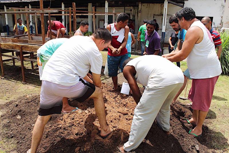 O cultivo de hortaliças e o manejo com a terra são formas de ressocialização oferecida para 20 internos custodiados na Central de Triagem Metropolitana II (CTM II), em Ananindeua, que participam de um curso de Horticultura promovido pelo Serviço Nacional de Aprendizagem Rural (Senar), em parceria com a Superintendência do Sistema Penitenciário do Estado (Susipe). O objetivo é preparar e qualificar os internos da unidade para o mercado de trabalho.
FOTO: Veloso Jr/ ASCOM SUSIPE
DATA: 13.11.2018
SANTA IZABEL - PARÁ
<div class='credito_fotos'>Foto: Veloso Junior / Ascom Susipe | <a href='/midias/2018/originais/eaf4c061-b005-41a5-9934-79ce9569b244.jpg' download><i class='fa-solid fa-download'></i> Download</a></div>