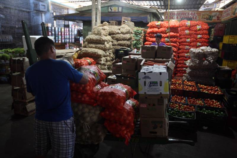 Quem foi às Centrais de Abastecimento do Pará (Ceasa-PA) nesta segunda-feira (4) já conseguiu adquirir diversos hortifrutigranjeiros que estavam em falta por conta da greve dos caminhoneiros. O movimento, que durou mais de 10 dias em todo o país, prejudicou o abastecimento desses produtos em quase todas as cidades brasileiras.

FOTO: SIDNEY OLIVEIRA / AG. PARÁ
DATA: 04.06.2018
BELÉM - PARÁ <div class='credito_fotos'>Foto: Sidney Oliveira/Ag. Pará   |   <a href='/midias/2018/originais/ebbf9cbe-8650-4620-827b-e2515d20945f.jpg' download><i class='fa-solid fa-download'></i> Download</a></div>