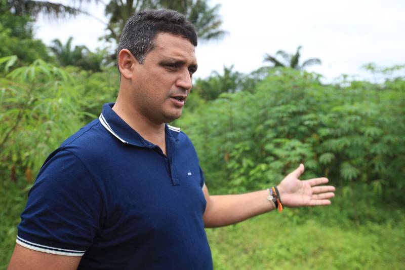 O dia começa cedo para a família do agricultor Adilson dos Santos, 33 anos. Produtores de mandioca da comunidade quilombola Boa Vista do Itá, de Santa Izabel do Pará, região metropolitana de Belém, eles são o retrato de uma tradição que vem se perpetuando por gerações e garantindo na mesa dos paraenses o produto que é a base alimentar do Estado. Do plantio ao beneficiamento, o lavrador herdou do pai a cultura que hoje é a principal fonte de renda da vila, onde vivem cerca de 50 famílias. No Pará, 96% da mandioca produzida vem da agricultura familiar. “Mandioca é pop, mandioca é tudo”, brinca Adilson. Ele está certo. Os produtos derivados da planta são diversos e ajudam a compor alguns dos pratos típicos mais conhecidos da região. Quase onipresente na mesa do paraense, a farinha é, muitas vezes, o alimento principal, nos sete dias da semana. Mas para chegar até as nossas casas, é preciso muito esforço e dedicação, aliado ao emprego de pesquisa e investimentos cada vez maiores do poder público. O conhecimento empírico do homem do campo hoje recebe o apoio de novas tecnologias e técnicas de plantio, que resultam em mais qualidade e produtividade. Na foto, o secretário de Agricultura de Santa Izabel, Gilvandro Andrade.
FOTO: MÁCIO FERREIRA / AG PARÁ
DATA: 25.02.2018
SANTA IZABEL DO PARÁ
<div class='credito_fotos'>Foto: MÁCIO FERREIRA/ AG. PARÁ | <a href='/midias/2018/originais/edb62d43-b7e7-4b96-9491-f9b68df2d54f.jpg' download><i class='fa-solid fa-download'></i> Download</a></div>