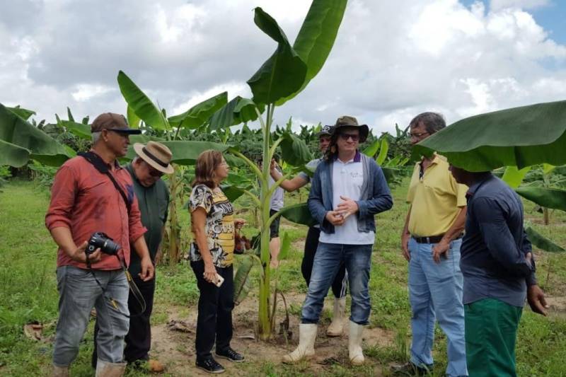 Extensionistas da Empresa de Assistência Técnica e Extensão Rural do Estado do Pará (Emater-Pará), incluindo representantes do regional de Castanhal, realizaram visitas técnicas de assessoramento e monitoramento em seis propriedades contempladas pelo programa Pará Produtivo, nesta quarta-feira, 16, em Santo Antônio do Tauá, no nordeste do estado.
FOTO: ASCOM EMATER
DATA: 16.05.2018
SANTO ANTÔNIO DO TAUÁ - PARÁ <div class='credito_fotos'>Foto: ASCOM EMATER | <a href='/midias/2018/originais/eec36575-ef8b-4e0d-8128-c8b166137c10.jpg' download><i class='fa-solid fa-download'></i> Download</a></div>