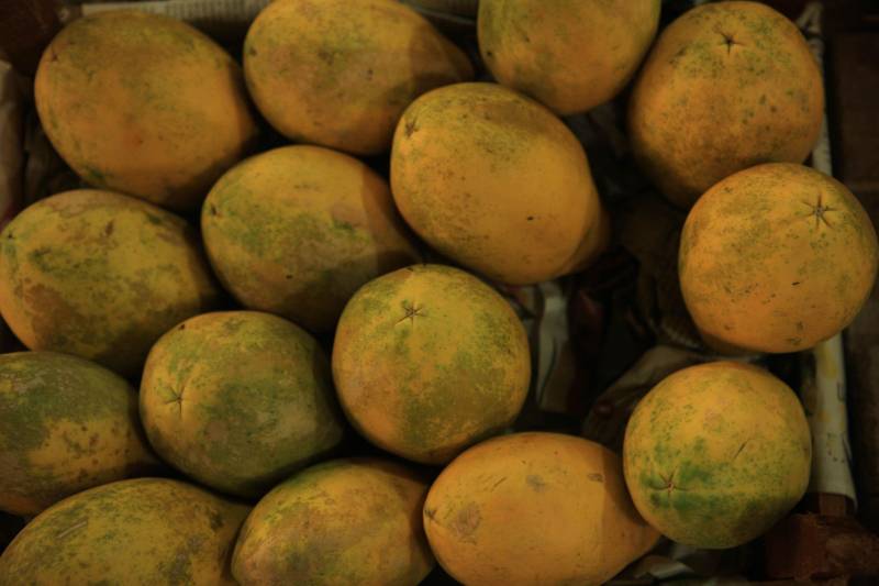 Com a chegada do verão, é importante reforçar o consumo de frutas para a absorção de nutrientes importantes e também para o combate à desidratação. Como toda a estação, existem as frutas da época, que, por conta da oferta, costumam ficar mais baratas. Uma das opções para a compra de frutas da estação é a Central de Abastecimento do Pará (Ceasa).
FOTO: RODOLFO OLIVEIRA / AG. PARÁ
DATA: 09.07.2018
BELÉM - PARÁ <div class='credito_fotos'>Foto: Rodolfo Oliveira/Ag. Pará | <a href='/midias/2018/originais/f1a1c915-d2c6-4d4a-ac14-61180ad91be4.jpg' download><i class='fa-solid fa-download'></i> Download</a></div>