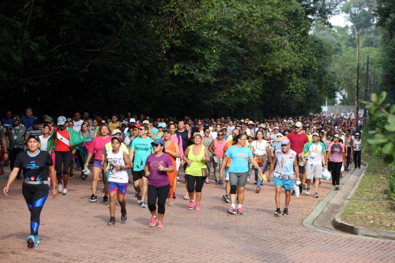Uma reabertura feita a milhares de mãos. A fita inaugural colocada no inicio da trilha principal do Parque do Utinga foi rompida por mais de cinco mil pessoas ansiosas pelo inicio da caminhada, marcando o segundo dia da programação de reabertura do mais novo espaço paraense de lazer e interatividade com a natureza.
FOTO: SIDNEY OLIVEIRA / AG. PARÁ
DATA: 17.03.2018
BELÉM - PARÁ <div class='credito_fotos'>Foto: Sidney Oliveira/Ag. Pará | <a href='/midias/2018/originais/f20087b1-1121-429e-963d-a9e2b3cd1800.jpg' download><i class='fa-solid fa-download'></i> Download</a></div>