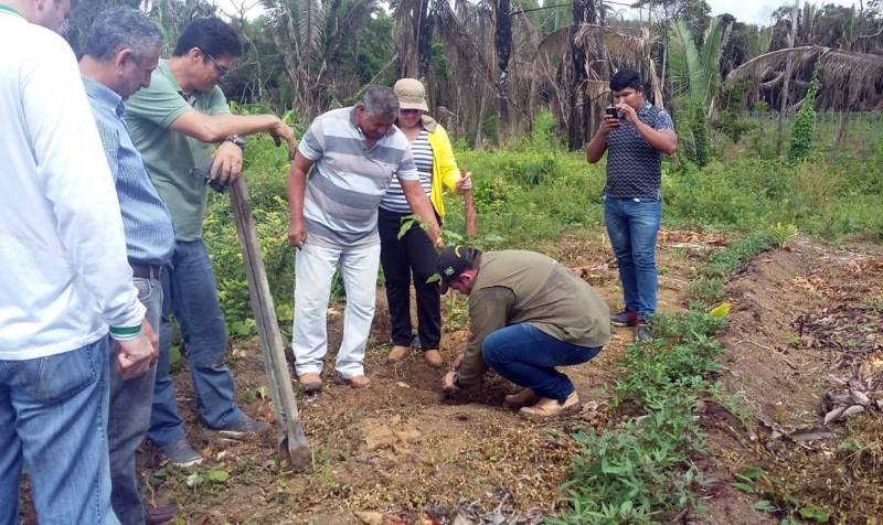 O Escritório Regional do Baixo Amazonas, do Instituto de Desenvolvimento Florestal e da Biodiversidade (Ideflor-bio), promoveu no dia 7, uma visita de campo (foto) na comunidade de Boa Fé, no município paraense de Mojuí dos Campos. O objetivo da ação foi capacitar agricultores rurais da localidade que são atendidos pelo Projeto de Restauração Florestal por meio de Sistemas Agroflorestais (Prosaf). Durante o dia de campo, engenheiros agrônomos e florestais do Ideflor-bio ensinaram aos agricultores o processo de implantação de um Sistema Agroflorestal (SAFs) com culturas como o maracujá, o citrus e o cumaru. “Nós buscamos desenvolver a destreza e a habilidade no manejo desses SAFs junto aos agricultores e de uma forma bem prática, para eles 'aprenderem a fazer fazendo'”, conta a engenheira agrônoma do Ideflor-bio, Simone Moreira.
FOTO: ASCOM / IDEFLOR-BIO
DATA: 08.06.2018
MOJUÍ DOS CAMPOS - PARÁ <div class='credito_fotos'>Foto: Ascom Ideflor-Bio | <a href='/midias/2018/originais/f2d5470b-fb14-46fc-9b25-d567ef82f1a8.jpg' download><i class='fa-solid fa-download'></i> Download</a></div>