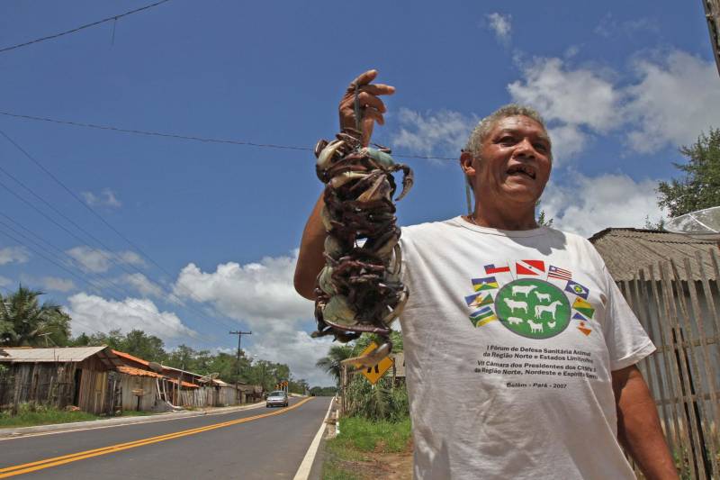 "Agora a população terá um lugar mais organizado, com mais higiene para comprar seu pescado e a sua carne. E pra gente que possui restaurante é melhor ainda, pois além da facilidade de adquirir os alimentos, o mercado também atrai clientes", comemorou Jaqueline Cardoso, 20 anos, que possui um ponto de venda de comidas em frente ao Mercado Municipal José Noronha Monteiro, no distrito de Boa Vista, em Quatipuru, no nordeste paraense. O espaço foi entregue oficialmente à população nesta segunda-feira (19), assim como as obras de pavimentação asfáltica da PA-446 e de cinco pontes em concreto ao longo da rodovia. A cerimônia contou com a presença do governador Simão Jatene, parlamentares, prefeitos da região entre outras autoridades locais. "Essas são importantes obras que vão beneficiar não só a população de Quatipuru, mas de toda a região. E faço questão de ressaltar que em todas elas existe o dinheiro dos impostos que todos nós paraenses pagamos. Esse é o retorno que fazemos questão de dar à população. Nós gestores somos apenas instrumentos desse grande desenvolvimento, quem financia é o povo", afirmou o governador Simão Jatene. Na foto, o senhor João Ferreira da Silva, 63 anos, que há quatro mora às margens da PA-446.
FOTO: CRISTINO MARTINS / AG. PARÁ
DATA: 19.03.2018
QUATIPURU - PARÁ <div class='credito_fotos'>Foto: Cristino Martins/Ag. Pará | <a href='/midias/2018/originais/f36dda9d-6ad8-4957-a176-52d59b78f352.jpg' download><i class='fa-solid fa-download'></i> Download</a></div>