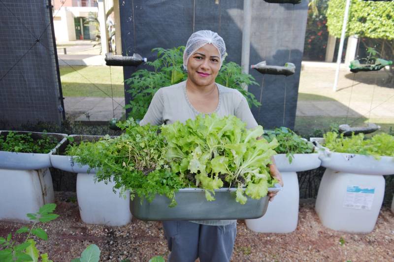 A preocupação com a alimentação saudável, livre de agrotóxicos e adubos químicos, vem aumentando nas primeiras décadas do século XXI. É nesse contexto que começam a ser adotados os alimentos orgânicos, produzidos com técnicas que respeitam o meio ambiente e visam a qualidade de vida de quem os consome. O Hospital Metropolitano de Urgência e Emergência (HMUE), em Ananindeua, implantou uma horta orgânica para pôr em prática os princípios da alimentação saudável e sustentabilidade. A unidade, gerenciada pela Pró-Saúde Associação Beneficente de Assistência Social e Hospitalar sob contrato com a Secretaria de Estado de Saúde Pública (Sespa), chega à sua terceira colheita de hortaliças em 2018, após meses de preparação e esforços dos colaboradores do Serviço de Higienização e Limpeza (SHL), que trabalharam na implantação e, agora, são os responsáveis pelo plantio, manutenção e colheita no espaço.

FOTO: ASCOM / HMUE
DATA: 23.03.2018
ANANINDEUA - PARÁ <div class='credito_fotos'>Foto: ASCOM HMUE   |   <a href='/midias/2018/originais/f66ce658-bf8f-4a07-ab70-e89b46478c68.jpg' download><i class='fa-solid fa-download'></i> Download</a></div>