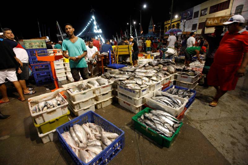 A proibição da saída do pescado durante a Semana Santa já vem sendo posta em prática há mais de duas décadas, mas, ao longo dos últimos anos, vem perdendo cada vez mais a eficácia. Na fato, pescado na feira do Ver-o-Peso.
FOTO: RODOLFO OLIVEIRA / ARQUIVO AG. PARÁ
DATA: 07.03.2018
BELÉM - PARÁ <div class='credito_fotos'>Foto: Rodolfo Oliveira/Ag. Pará | <a href='/midias/2018/originais/f709e7b0-cae7-43b5-90b3-ef6b8f60a1f9.jpg' download><i class='fa-solid fa-download'></i> Download</a></div>