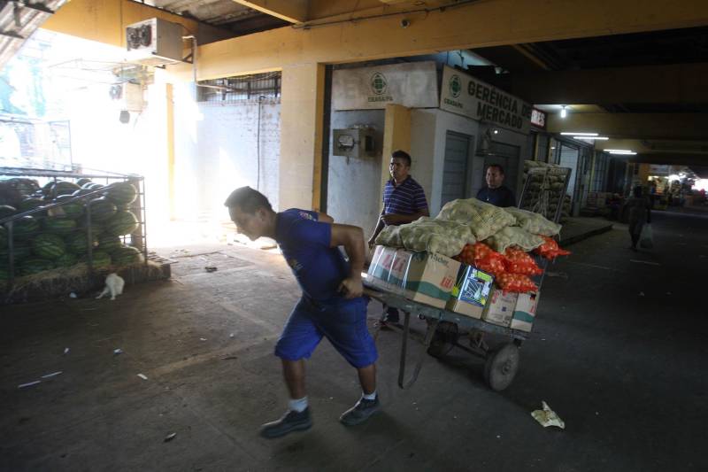 Quem foi às Centrais de Abastecimento do Pará (Ceasa-PA) nesta segunda-feira (4) já conseguiu adquirir diversos hortifrutigranjeiros que estavam em falta por conta da greve dos caminhoneiros. O movimento, que durou mais de 10 dias em todo o país, prejudicou o abastecimento desses produtos em quase todas as cidades brasileiras.

FOTO: SIDNEY OLIVEIRA / AG. PARÁ
DATA: 04.06.2018
BELÉM - PARÁ <div class='credito_fotos'>Foto: Sidney Oliveira/Ag. Pará   |   <a href='/midias/2018/originais/f77d1887-493e-4b2e-8c68-9ac125eb6056.jpg' download><i class='fa-solid fa-download'></i> Download</a></div>