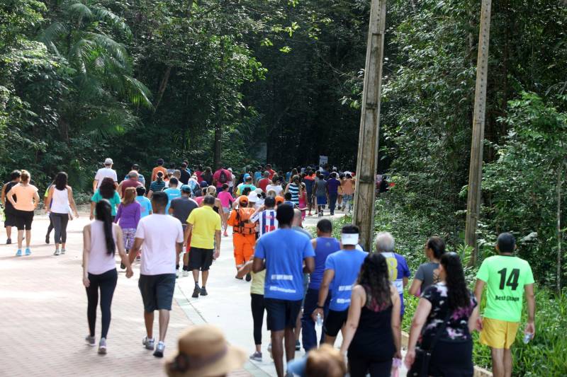 Uma reabertura feita a milhares de mãos. A fita inaugural colocada no inicio da trilha principal do Parque do Utinga foi rompida por mais de cinco mil pessoas ansiosas pelo inicio da caminhada, marcando o segundo dia da programação de reabertura do mais novo espaço paraense de lazer e interatividade com a natureza.
FOTO: SIDNEY OLIVEIRA / AG. PARÁ
DATA: 17.03.2018
BELÉM - PARÁ <div class='credito_fotos'>Foto: Sidney Oliveira/Ag. Pará | <a href='/midias/2018/originais/f838ec81-a855-4cfc-a095-ad1906cfacee.jpg' download><i class='fa-solid fa-download'></i> Download</a></div>
