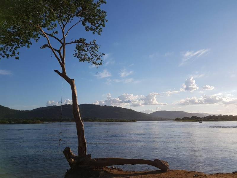 Técnicos das Secretarias Estaduais de Municípios Sustentáveis (Semsu) e de Gestão Estratégica (Seegest) estão no município de São Félix do Xingu (foto) para avaliar e alinhar as ações que estão sendo realizadas na implementação do projeto piloto dos Municípios Emblemáticos. A reunião com a equipe municipal foi realizada nesta terça-feira, 05, no auditório da Secretaria Municipal de Meio Ambiente (Semmas). O projeto de Município Emblemático congrega um reforço de ações previstas no Programa Municípios Sustentáveis (PMS) a fim de gerar cases que possam ser replicados em outras localidades. As ações foram definidas em parceria com as secretarias municipais que apontaram necessidades e propostas de desenvolvimento nos eixos social, ambiental e econômico, definidos a partir do workshop realizados em dezembro do ano passado, com os agentes realizadores do Estado e da Prefeitura Municipal.

FOTO: ASCOM / SEMSU
DATA: 05.06.2018
SÃO FÉLIX DO XINGU - PARÁ <div class='credito_fotos'>Foto: DANI FILGUEIRAS / ASCOM SEMSU   |   <a href='/midias/2018/originais/f87069e9-16d5-4811-9949-af08852dd5fd.jpg' download><i class='fa-solid fa-download'></i> Download</a></div>