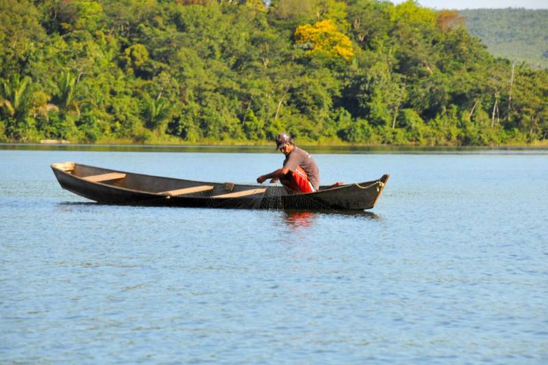 O Instituto de Desenvolvimento Florestal e da Biodiversidade do Pará (Ideflor-bio) lança nesta sexta-feira (14) uma concorrência pública para contratação de ente especializado para fazer a elaboração, validação, diagramação e impressão dos planos de gestão (manejo), dos resumos executivos e das cartilhas oficiais das unidades de conservação Área de Proteção Ambiental Lago de Tucuruí e reservas de desenvolvimento sustentável Alcobaça e Pucuruí-Ararão (foto), localizadas no sudeste do Pará.
FOTO: ASCOM / IDEFLOR-BIO
DATA: 13.10.2016
<div class='credito_fotos'>Foto: Ascom Ideflor | <a href='/midias/2018/originais/f9598df7-08c4-44cf-88c9-468a28f791b0.jpg' download><i class='fa-solid fa-download'></i> Download</a></div>