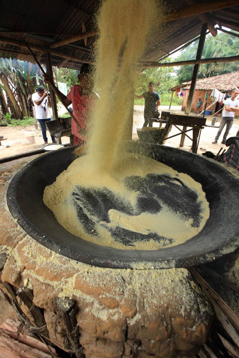 O múltiplo aproveitamento da mandioca será um dos temas do congresso que ocorrerá em Belém, de 12 a 16 de março. Além dos vários tipos de farinha, do tucupi e da goma, que estão entre os produtos derivados mais consumidos pelo paraense, a raiz da mandioca é hoje aproveitada na alimentação animal
FOTO: MÁCIO FERREIRA / ARQUIVO AG. PARÁ
DATA: 03.03.2018
SANTA ISABEL DO PARÁ - PARÁ <div class='credito_fotos'>Foto: MÁCIO FERREIRA/ AG. PARÁ | <a href='/midias/2018/originais/f97c4700-ac2a-442d-9654-38c01db67881.jpg' download><i class='fa-solid fa-download'></i> Download</a></div>