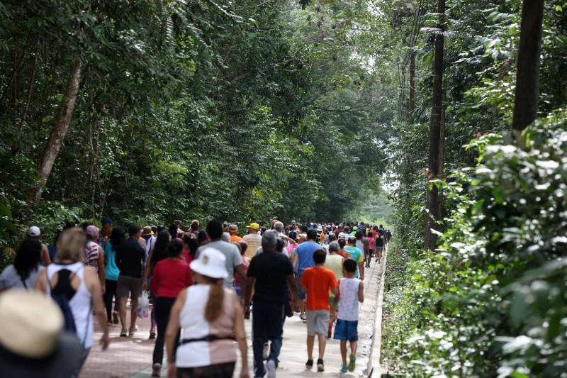 Uma reabertura feita a milhares de mãos. A fita inaugural colocada no inicio da trilha principal do Parque do Utinga foi rompida por mais de cinco mil pessoas ansiosas pelo inicio da caminhada, marcando o segundo dia da programação de reabertura do mais novo espaço paraense de lazer e interatividade com a natureza.
FOTO: SIDNEY OLIVEIRA / AG. PARÁ
DATA: 17.03.2018
BELÉM - PARÁ <div class='credito_fotos'>Foto: Sidney Oliveira/Ag. Pará | <a href='/midias/2018/originais/fac0c060-67de-4665-b083-65fb2cb8103f.jpg' download><i class='fa-solid fa-download'></i> Download</a></div>