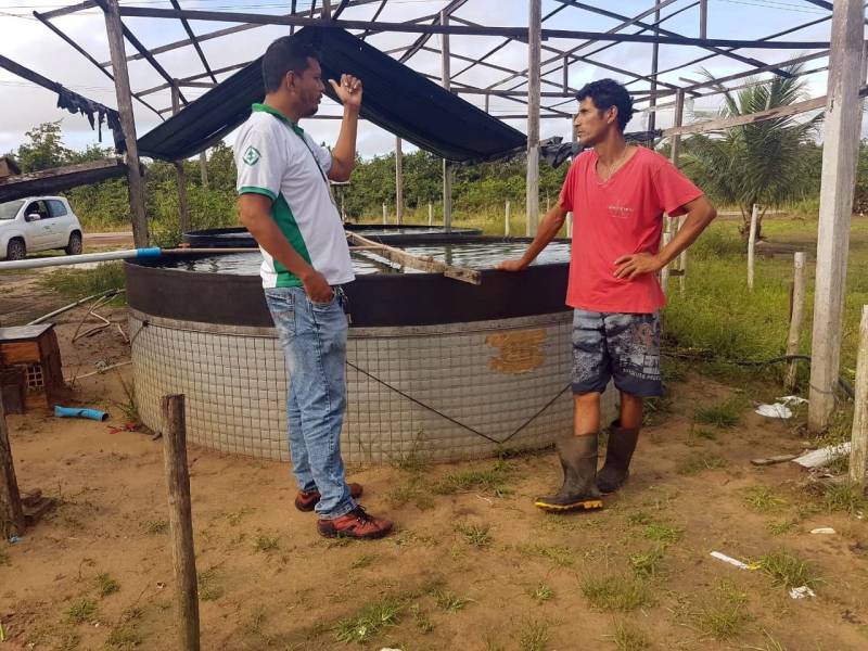 Um projeto-piloto em piscicultura, que diversifica a produção familiar e vai além de um sistema fechado de criação intensiva de peixes, reutilizando água pós-tratamento mecânico e biológico, vem sendo desenvolvido pela Empresa de Assistência Técnica e Extensão Rural do Pará (Emater), por meio de seu escritório local em Marapanim, no nordeste paraense. Segundo o engenheiro agrônomo Wilson Castro Rodrigues, chefe do escritório no município, o projeto também “contribui com o ecossistema, reduz a emissão de poluentes ambientais e a necessidade de uso de água e energia em grande quantidade, além de integrar lavoura e pecuária por ocupação de poucos espaços, permitindo renda extra aos pequenos agricultores”.
FOTO: ASCOM / EMATER
DATA: 20.04.2018
MARAPANIM - PARÁ <div class='credito_fotos'>Foto: ASCOM EMATER | <a href='/midias/2018/originais/fb2a8a92-da17-4fdc-bd2e-dee534ad2d7e.jpg' download><i class='fa-solid fa-download'></i> Download</a></div>