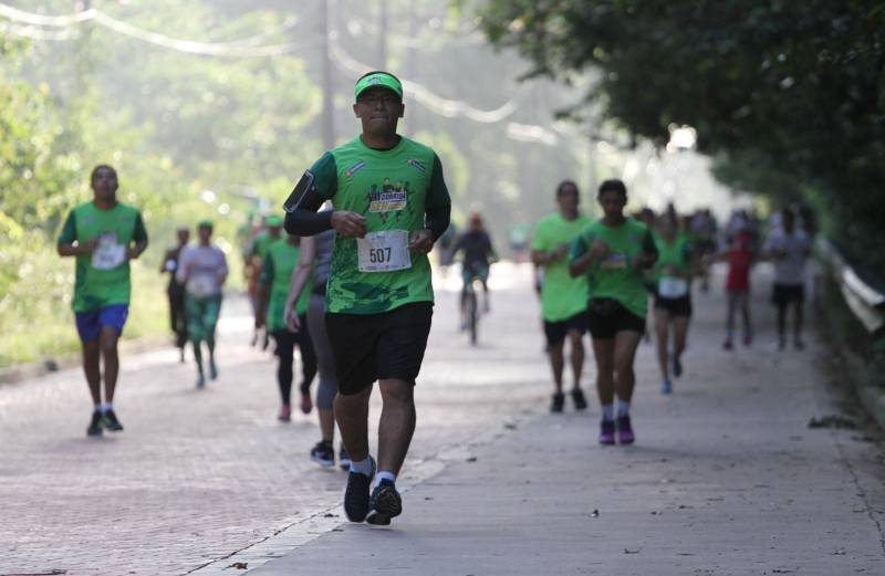 A sétima edição da Corrida e Caminhada do Servidor Público (foto), realizada no Parque do Utinga na manhã desde sábado, 10, reuniu mais de mil servidores do Governo do Pará com o objetivo de promover a saúde e a qualidade de vida. E foi com inspiração nesses dois pilares do evento que Renato Alves e Adriana Lima levaram, mais uma vez, o primeiro lugar do masculino e feminino da competição. Em sete anos de evento, a cabo do Corpo de Bombeiros Adriana Lima chegou em primeiro lugar 4 vezes. Em 2017, ela foi impedida de participar devido uma lesão no tornozelo causada por um acidente, mas esse ano se preparou com treinos pesados na areia, para ganhar força muscular. “Médicos disseram que eu nunca mais correria e ano passado eu fui assistir e chorei por não participar, mas esse ano eu vim para ganhar. Meu lema é lutar sempre desistir jamais”, disse a tetracampeã.
FOTO: CRISTINO MARTINS / AG. PARÁ
DATA: 10.11.2018
BELÉM - PARÁ <div class='credito_fotos'>Foto: Cristino Martins/Ag. Pará | <a href='/midias/2018/originais/fb68f984-eeb6-4b53-8eb8-3d62a25c7787.jpg' download><i class='fa-solid fa-download'></i> Download</a></div>