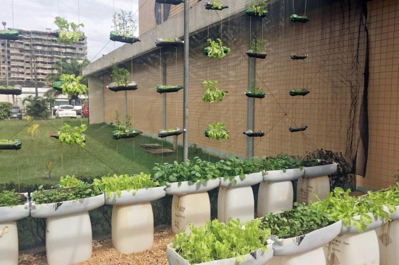 A preocupação com a alimentação saudável, livre de agrotóxicos e adubos químicos, vem aumentando nas primeiras décadas do século XXI. É nesse contexto que começam a ser adotados os alimentos orgânicos, produzidos com técnicas que respeitam o meio ambiente e visam a qualidade de vida de quem os consome. O Hospital Metropolitano de Urgência e Emergência (HMUE), em Ananindeua, implantou uma horta orgânica para pôr em prática os princípios da alimentação saudável e sustentabilidade. A unidade, gerenciada pela Pró-Saúde Associação Beneficente de Assistência Social e Hospitalar sob contrato com a Secretaria de Estado de Saúde Pública (Sespa), chega à sua terceira colheita de hortaliças em 2018, após meses de preparação e esforços dos colaboradores do Serviço de Higienização e Limpeza (SHL), que trabalharam na implantação e, agora, são os responsáveis pelo plantio, manutenção e colheita no espaço.

FOTO: ASCOM / HMUE
DATA: 23.03.2018
ANANINDEUA - PARÁ <div class='credito_fotos'>Foto: ASCOM HMUE   |   <a href='/midias/2018/originais/fbae29c0-a61b-4387-92a9-da8ffdcbe083.jpg' download><i class='fa-solid fa-download'></i> Download</a></div>