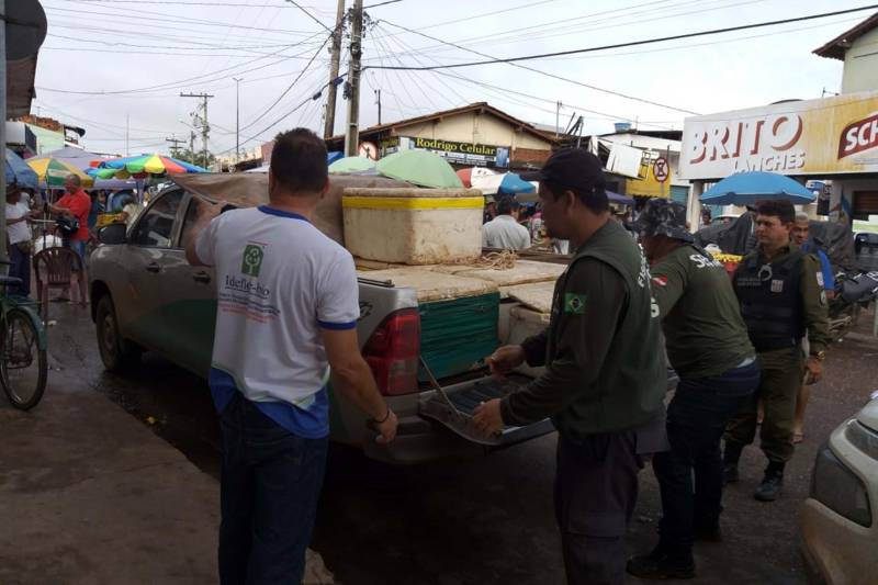 Uma mega operação de fiscalização nos municípios de Marabá e Nova Ipixuna apreendeu, neste domingo, 25, mais de uma tonelada de peixes retirados ilegalmente do Lago de Tucuruí. Foram apreendidos também apetrechos de pesca, como malhadeiras com tamanhos irregulares, além de caças e pássaros. A operação foi coordenada por equipes técnicas do Instituto de Desenvolvimento Florestal e da Biodiversidade (Ideflor-bio), em parceria com a Secretaria Estadual de Meio Ambiente e Sustentabilidade (Semas) e Polícia Militar.

FOTO: ASCOM IDEFLOR
DATA: 26.11.2018
MARABÁ-PARÁ <div class='credito_fotos'>Foto: Ascom Ideflor   |   <a href='/midias/2018/originais/fbfe5a27-b9e9-4fb0-a445-ec5d8bc5c476.jpg' download><i class='fa-solid fa-download'></i> Download</a></div>