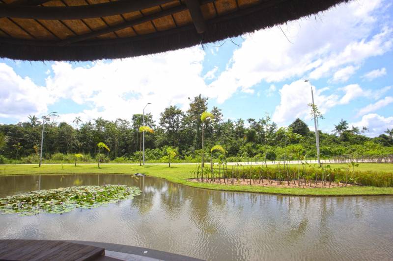 Bastante aguardado, o novo Parque Estadual do Utinga (PEUt) será reaberto ao público pelo Governo do Estado nos próximos dias 16 e 17 de março. Os serviços do mais importante espaço de preservação e estudo da biodiversidade dentro da Região Metropolitana de Belém serão oferecidos em caráter experimental. Na sexta-feira, a partir das 16h30, serão realizadas apresentações artísticas, com o Boi Veludinho, crianças do Pro Paz e a premiada Orquestra Sinfônica do Theatro da Paz. A apresentação será em um espaço ao ar livre e não será necessária a retirada de ingressos, por esse motivo, a recomendação é que o público chegue cedo, porque a entrada será fechada quando o espaço estiver lotado. No sábado, será realizada uma grande caminhada, a partir das 8 horas, com paradas para informações educativas sobre a fauna, flora e sobre os novos espaços. Por conta da grande quantidade de pessoas, incluindo crianças e idosos, o Corpo de Bombeiros recomendou e, a organização do evento acatou, a necessidade de se evitar durante a manhã do sábado o trânsito de veículos sobre rodas, como carros, bicicletas, skates e patins. Depois das 12 horas e durante todo o funcionamento do parque, a entrada e o uso por praticantes desta modalidade está completamente liberada no Parque. No domingo, o parque funciona normalmente ao público no horário de 5h30 às 17h, assim como nos outros dias, de segunda a segunda.
FOTO: IGOR BRANDÃO / AG PARÁ
DATA: 11.032018
BELÉM - PARÁ <div class='credito_fotos'>Foto: IGOR BRANDÃO / AG. PARÁ | <a href='/midias/2018/originais/fcd96cc0-0a94-4692-b430-383e62b5c92b.jpg' download><i class='fa-solid fa-download'></i> Download</a></div>