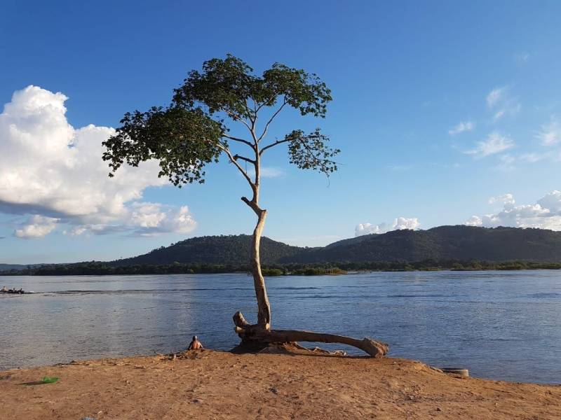 Técnicos das Secretarias Estaduais de Municípios Sustentáveis (Semsu) e de Gestão Estratégica (Seegest) estão no município de São Félix do Xingu (foto) para avaliar e alinhar as ações que estão sendo realizadas na implementação do projeto piloto dos Municípios Emblemáticos. A reunião com a equipe municipal foi realizada nesta terça-feira, 05, no auditório da Secretaria Municipal de Meio Ambiente (Semmas). O projeto de Município Emblemático congrega um reforço de ações previstas no Programa Municípios Sustentáveis (PMS) a fim de gerar cases que possam ser replicados em outras localidades. As ações foram definidas em parceria com as secretarias municipais que apontaram necessidades e propostas de desenvolvimento nos eixos social, ambiental e econômico, definidos a partir do workshop realizados em dezembro do ano passado, com os agentes realizadores do Estado e da Prefeitura Municipal.

FOTO: ASCOM / SEMSU
DATA: 05.06.2018
SÃO FÉLIX DO XINGU - PARÁ <div class='credito_fotos'>Foto: DANI FILGUEIRAS / ASCOM SEMSU   |   <a href='/midias/2018/originais/fd289d69-604f-4315-9ec2-c2bae58af4eb.jpg' download><i class='fa-solid fa-download'></i> Download</a></div>