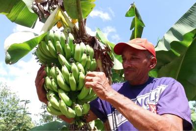 notícia: Pará dobrou número de agricultores familiares beneficiados com o PAA