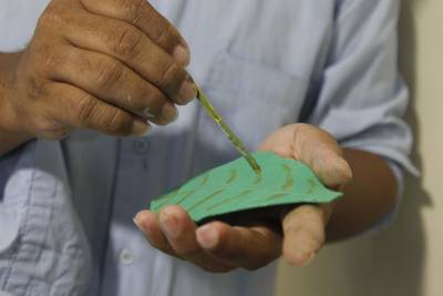 galeria: Susipe e Senar promovem curso de arranjos florais em Castanhal