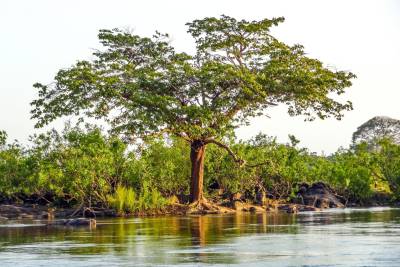 galeria: Trilhas, cavernas e cachoeiras convidam ao turismo de aventura no Xingu