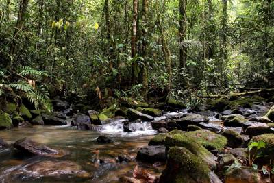 galeria: Conselhos gestores atuam na defesa de Unidades de Conservação no oeste paraense