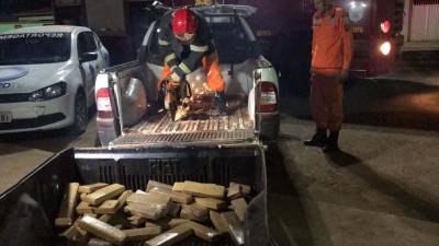 galeria: Policiais civis e militares apreendem mais de 98 quilos de maconha