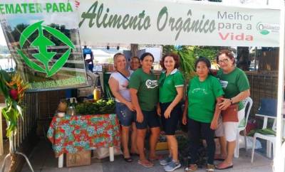galeria: 	Emater participa do Festival Cozinha Tapajós em Alter do Chão