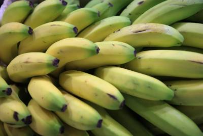 galeria: As frutas da estação continuam sendo a melhor opção para o verão