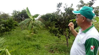 galeria: Unidade da Emater difusora de tecnologias recebe agricultores
