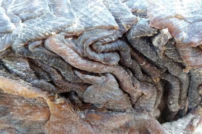 galeria: Volumes encontrados em praias do Nordeste paraense aguardam identificação
