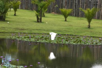 galeria: Parque do Utinga: convívio harmônico entre homem e meio ambiente