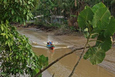 notícia: NexBio Amazônia chega a última semana com colaboração da Fapespa
