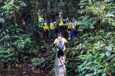 notícia: Live especial apresenta Prêmio Braztoa de Sustentabilidade 2025 a empreendedores do Pará