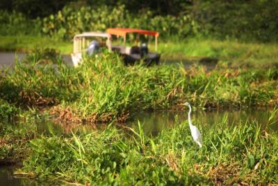 galeria: Visitantes são orientados a evitar poluição sonora no Parque Estadual do Utinga