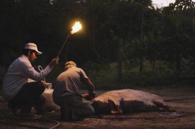 galeria: Cine Líbero Luxardo exibe 'Paulistas' e 'Uma Mulher Fantástica'