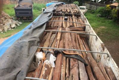 galeria: Sefa apreende estacas de acapu em Marabá