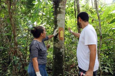 galeria: Ideflor-bio sinaliza nova trilha de longo curso na Grande Belém