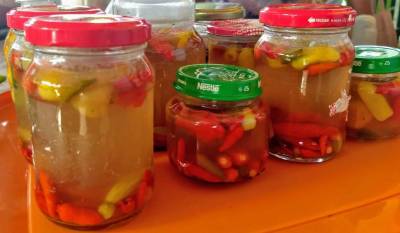 galeria: Emater promove cursos de aproveitamento de alimentos e permacultura