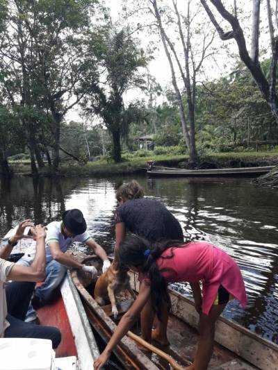 galeria: Zona rural de Anajás recebe ação de prevenção à raiva humana