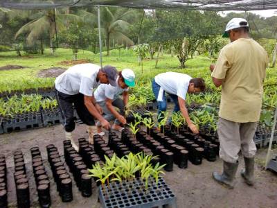 galeria: Dia de Campo incentiva produção de mudas no projeto AgroVárzea