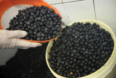 galeria: BID contempla 20 projetos apresentados pela Emater em Marabá