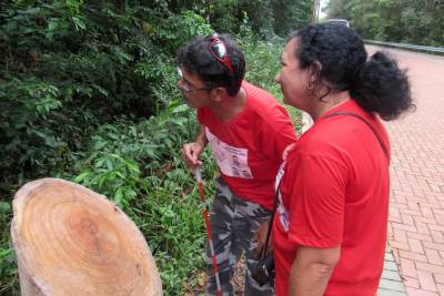 galeria: Alunos cegos e surdos fazem trilha sensorial no Parque do Utinga