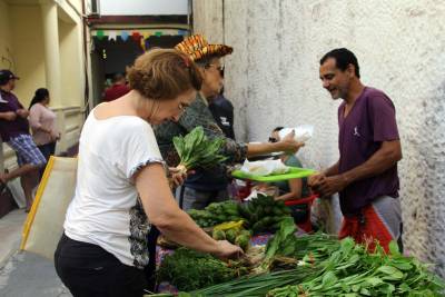 notícia: Produção agrícola regional em destaque na Cesta Feira do Turismo