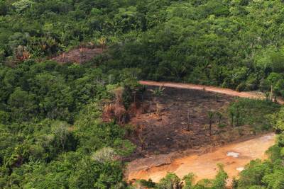 galeria: Policiamento Ambiental vai expandir ação pelo interior do Estado